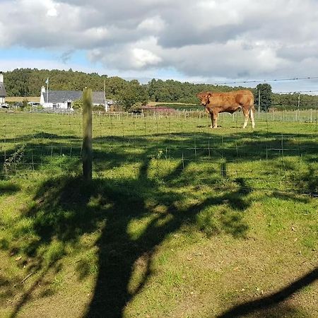 Cosy 2 Bedroom Croft Cottage With Beautiful Views North Kessock Dış mekan fotoğraf