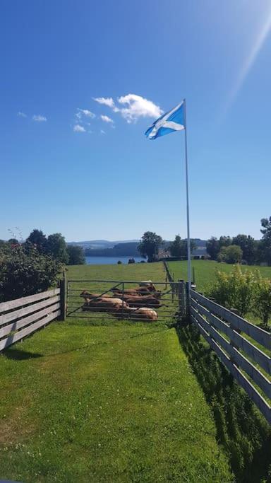 Cosy 2 Bedroom Croft Cottage With Beautiful Views North Kessock Dış mekan fotoğraf